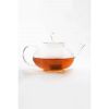 cook1,500 ml / 50 oz Borosilicate Glass Teapot with Removable Infuser